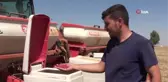 Mardin'de ikinci ürün olman mısır ekimine başlandı