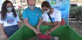 Tedavileri tamamlanan caretta carettalar denize bırakıldı