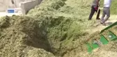 Borçların yapılandırılması çiftçiye nefes aldıracak