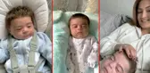 Annesi fotoğrafını paylaşınca ilgi odağı oldu! Henüz 3 aylık ama halini görenler inanmıyor