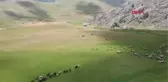 ANTALYA TOROSLAR, YÖRÜKLERLE ŞENLENMEYE BAŞLADI