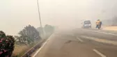 Son dakika haberi! İslahiye'de anız yangını trafiği durdurdu
