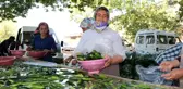Kahramanmaraş'ta salatalıkta hasat bereketi