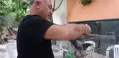 Sağlık memuru, sokakta baygın bulduğu kargayı evinde tedavi etti
