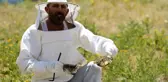Gezgin arıcıların Muş'un verimli yaylalarına 