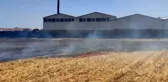 İslahiye'de anız yangını az kalsın fabrikayı yok ediyordu