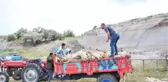 Tavanı çöken ağıldaki 58 küçükbaş hayvan telef oldu