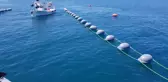 Karadeniz'de azalan midye popülasyonunun artırılması için üretim tesisi kuruldu
