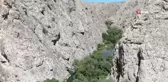 Kaymakam tanıtım için kendini Tohma Çayı'nın sularına bıraktı