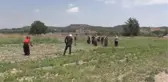 Çukurova'da tıbbi ve aromatik bitki ekim alanı genişliyor