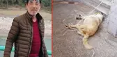 Para istediği kişiyi sokak ortasında vuran tetikçiyle ilgili iğrenç gerçek: Sokak köpeğini öldürüp tecavüz etmiş