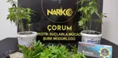 Çorum'da uyuşturucu operasyonu