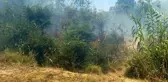 Dalaman'da cezaevi çevresi ve TİGEM arazilerinde yangın