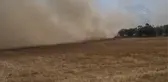 Anız yangını ormanlık alana sıçramadan söndürüldü