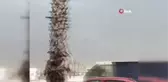 İzmir'i fırtına vurdu