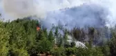 Son dakika haberi! Denizli'deki orman yangını kontrol altına alındı