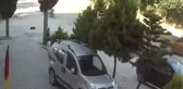 Üzerinden aracın geçmesi sonucu yaralanan sokak köpeğini hayata bağladılar