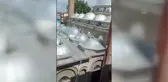 Yaralı yavru leyleği itfaiye kurtardı