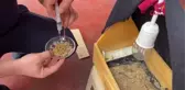 Yuvadan düşen Florya kuşlarına itfaiye ekiplerince bakıma alındı
