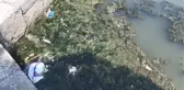 Son dakika haberi! BÜYÜKÇEKMECE GÖLÜ'NDE BALIK ÖLÜMLERİNE İNCELEME...