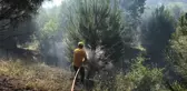 Son dakika haber... Ormanlık alanda çıkan yangın kontrol altına alındı