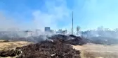 Dalaman'daki kağıt fabrikası 12 milyon ceza verilerek kapatıldı