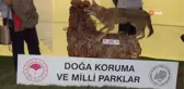 FAO Yöresel Çalıştayı'nda ünlü şefler yeteneklerini sergiledi