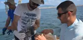 ERDEK VE BANDIRMA'DA DENİZDEKİ KİRLİLİĞİN TARİHİ ARAŞTIRILIYOR