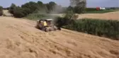 Iğdır'da buğday hasadı başladı