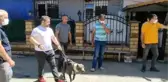 Kartal'da çocuğa saldıran pitbullun sahipleri gözaltına alındı