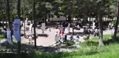 Koruyucu aile ve adayları 