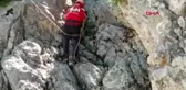 ANTALYA KAYALIK BÖLGEDE MAHSUR KALAN KEÇİ VE YAVRUSU 10 GÜN SONRA KURTARILDI
