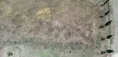Osmanlı mezar taşlarının sergilendiği alanların daha özenli korunması istendi