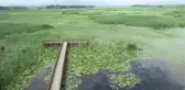 Doğayla iç içe olmak isteyenlerin normalleşmedeki adresi 