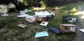 Son dakika haberleri! Kedi evlerini yıktığı iddia edilen kişinin hayvanseverlere tepkisi kamerada