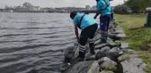 Küçükçekmece Gölü'nde kıyıya vuran ölü balıklar temizleniyor
