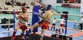 Şırnak'ta bin 500 sporcunun ringdeki mübadelesi başladı