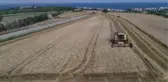 Buğdaydaki yüksek rekolte çiftçinin yüzünü güldürüyor