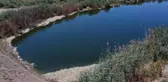 Son dakika haber | Büyük Menderes Nehri'ndeki toplu balık ölümleri balıkçıları endişelendiriyor