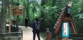 Doğal yaşam parkı Ormanya'da 