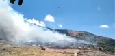 Selçuk'ta otluk alanda çıkan yangın söndürüldü