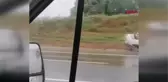 Son dakika haberleri! KOCAELİ'DE ZİNCİRLEME KAZA; 1 YARALI