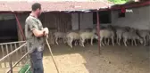 Kredili kurbanlara 'faiz' uyarısı