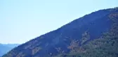 Marmaris'te yanan alan ağaçlandırılıp, buraya yangında hayatını kaybeden işçinin adı verilecek