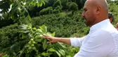 Tekkeköy'de ekili olmayan boş arazi kalmayacak