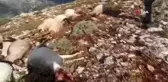 Kahramanmaraş'ta yıldırım düştü 86 koyun telef oldu