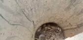 Çukura düşen tilki yavrusu kurtarıldı