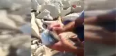 Gagasına misina dolanan martı amatör balıkçı tarafından kurtarıldı