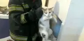 Havalandırma bacasına düşen kediyi itfaiye kurtardı