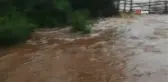 Şiddetli yağış sonrası tarlalar sular altında kaldı